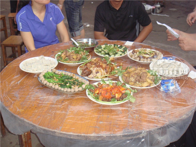 DSC00209.jpg