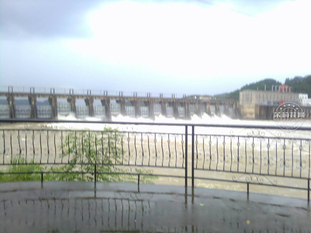 095951bnuawe2duenzez55.jpg