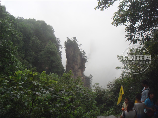 DSC03847.jpg