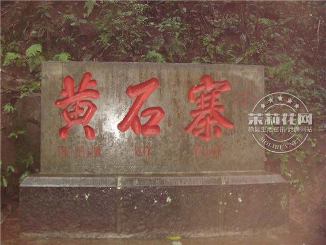 DSC03861.jpg