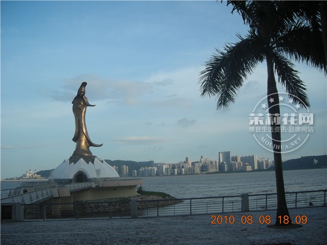 DSCN6876.jpg