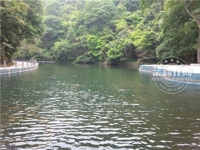 20150418_113611.jpg