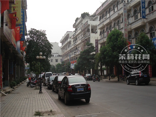 DSC00383.jpg