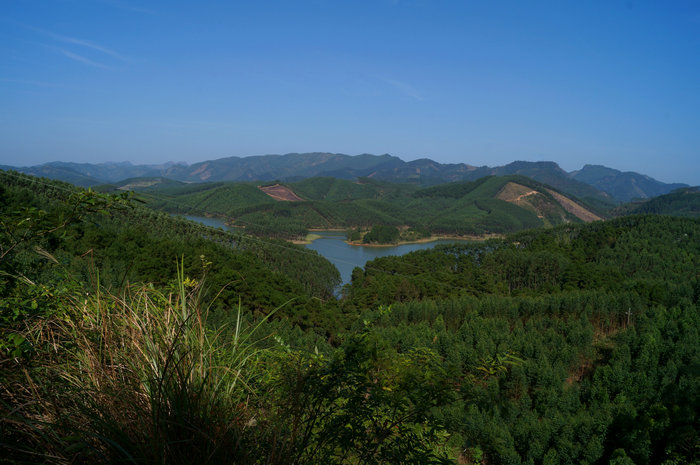 DSC04589.jpg