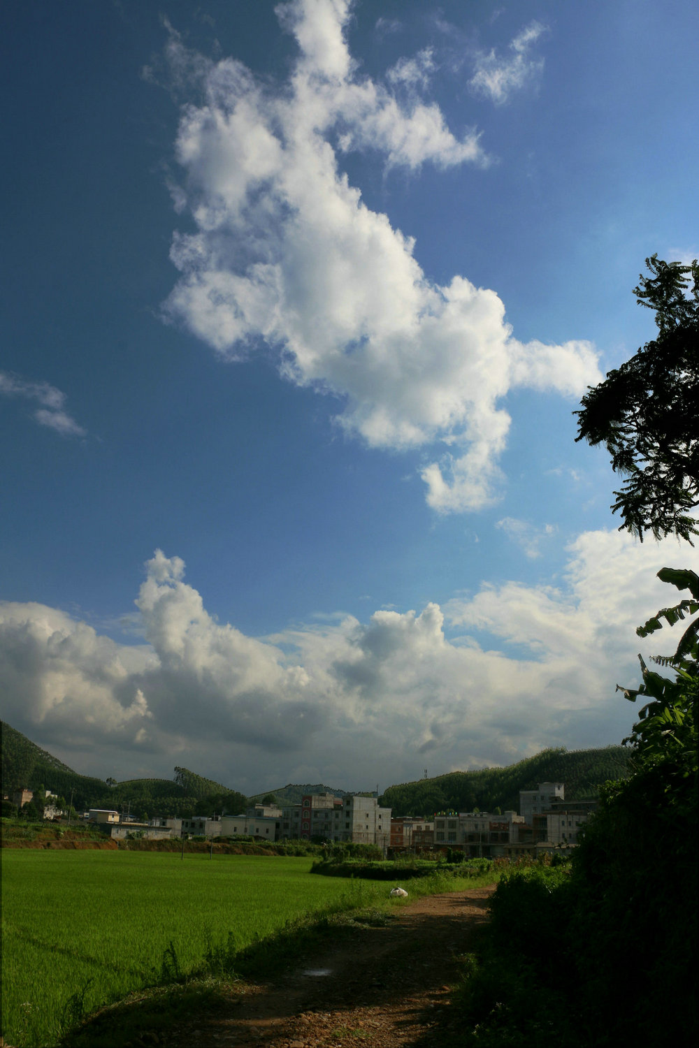 IMG_9125_副本.jpg