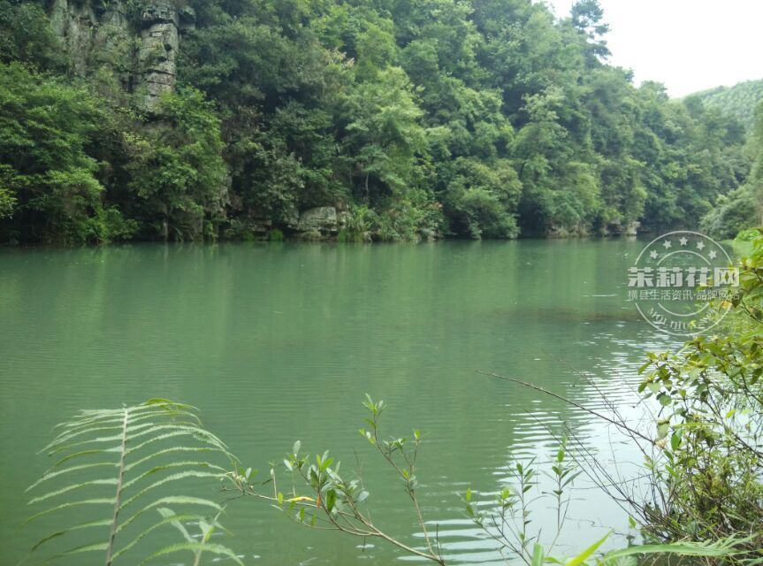 风景6.jpg
