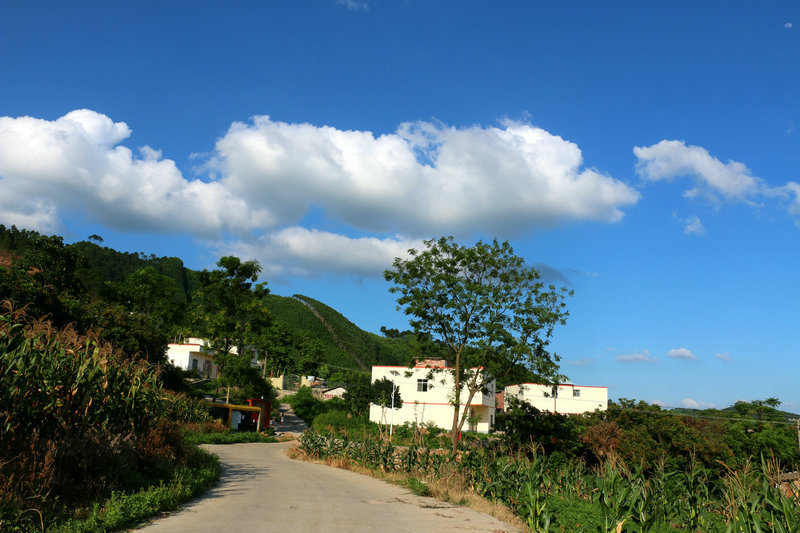 IMG_9747.jpg