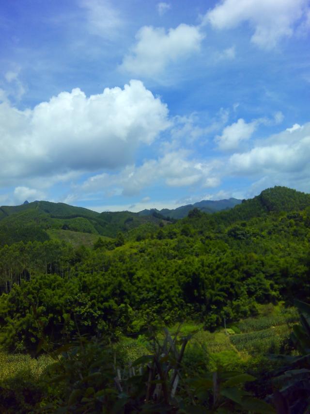 村山风景