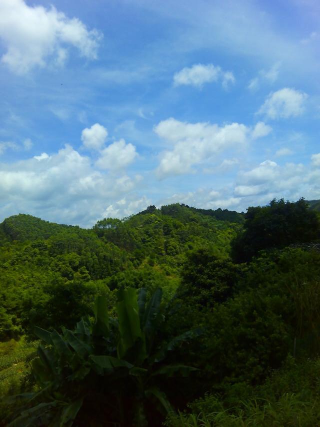 村山风景