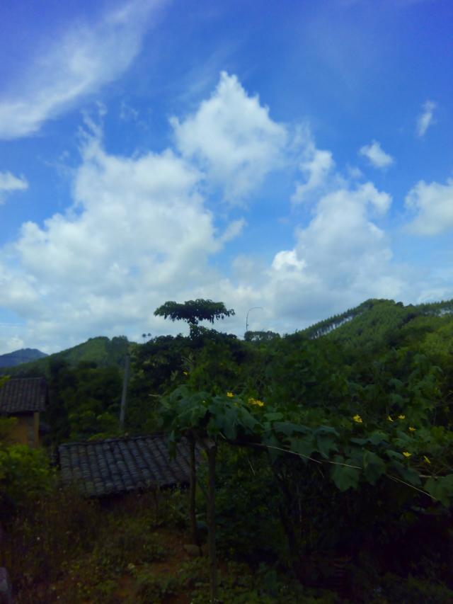 村中记录