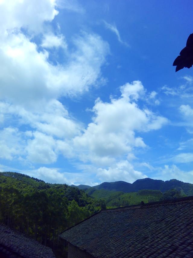 我家附近