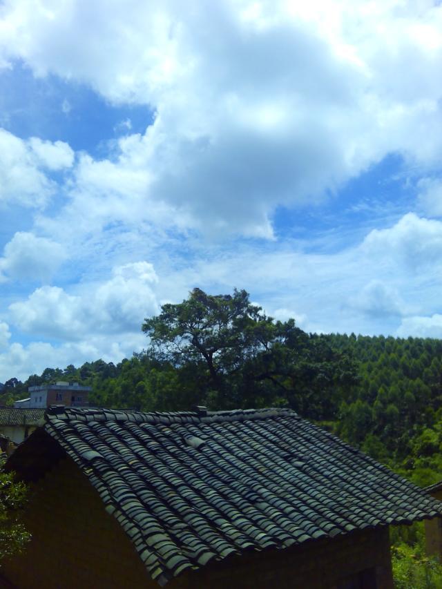 我家附近