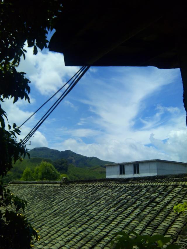 我家附近