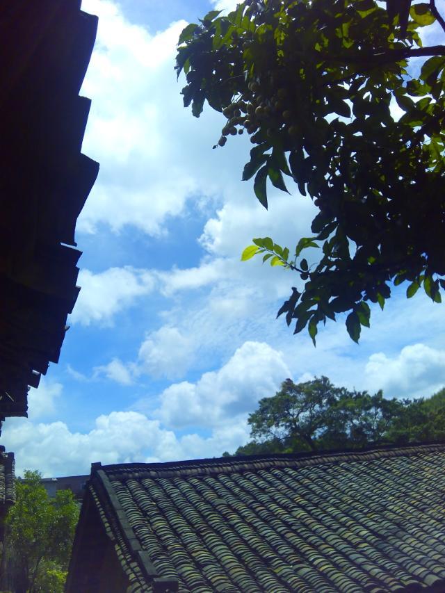 我家附近