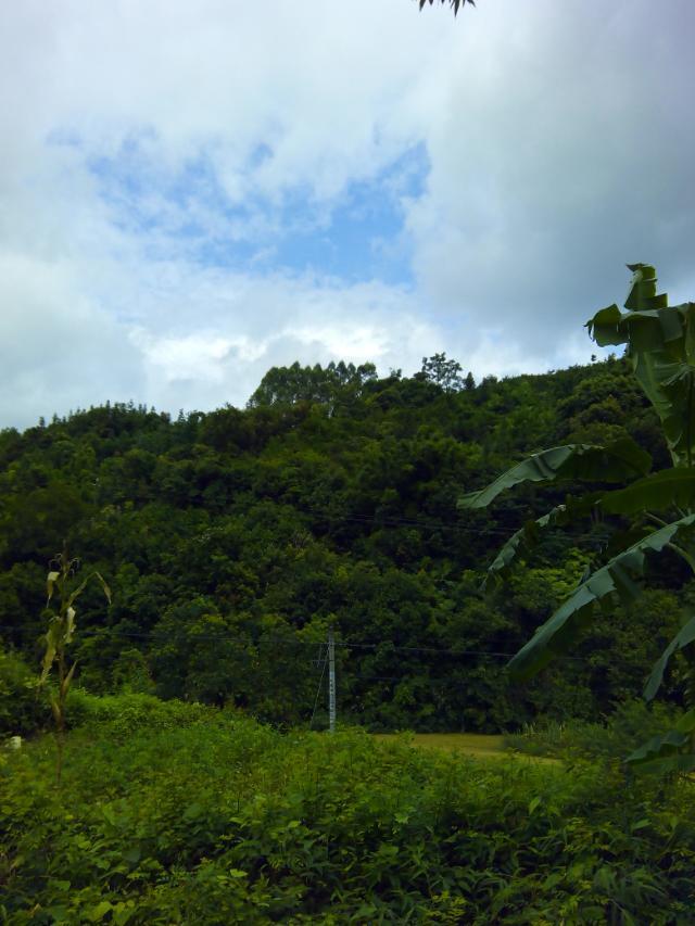 公路边附近