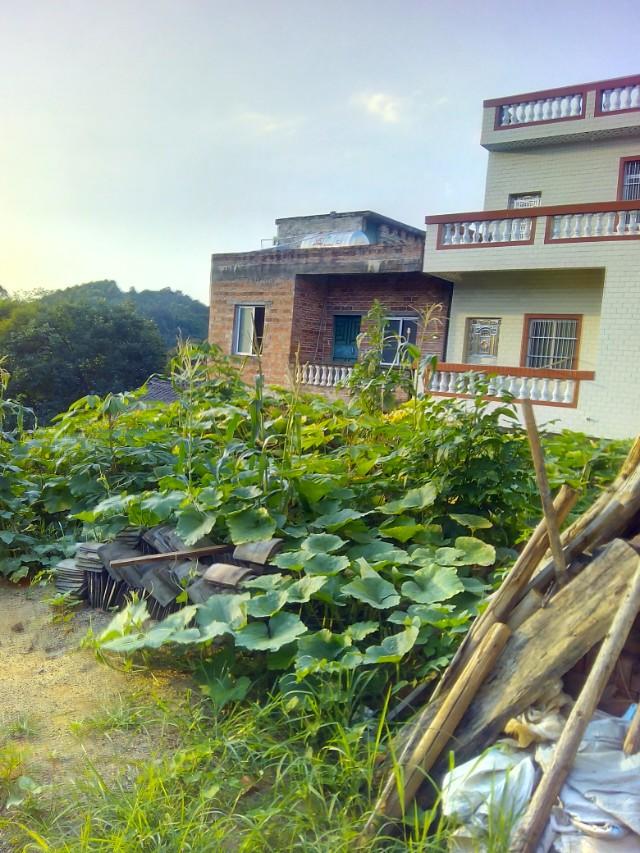 村中记录