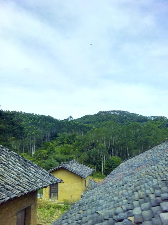 我家附近