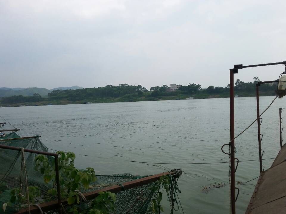 QQ图片20150707163258.jpg
