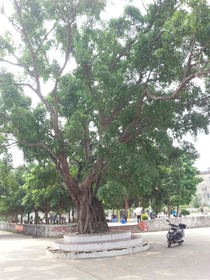 QQ图片20150714191511.jpg