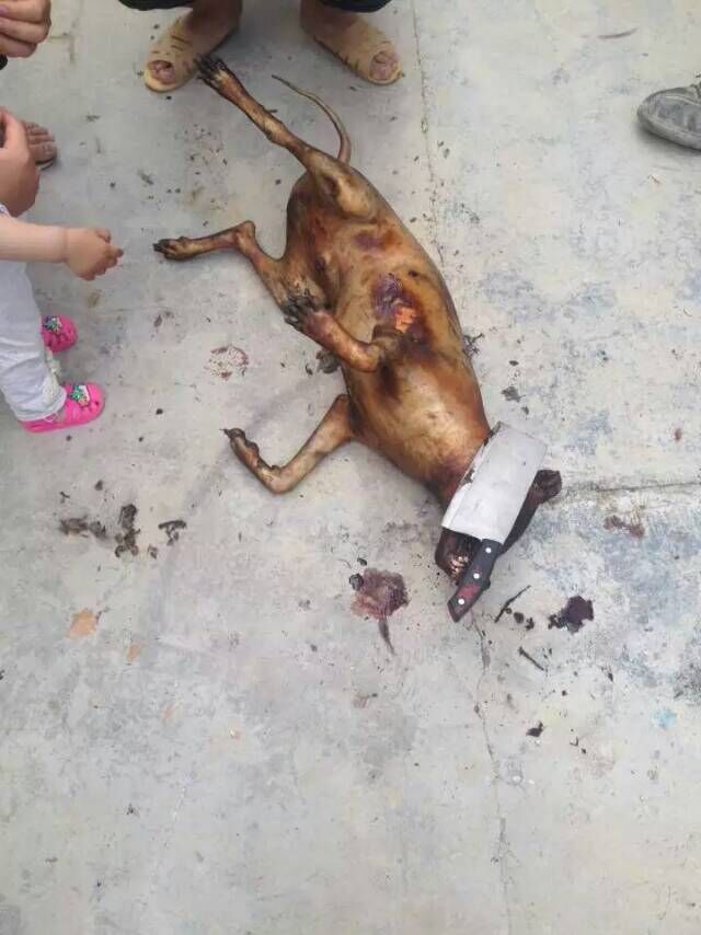 QQ图片20150716114119.jpg