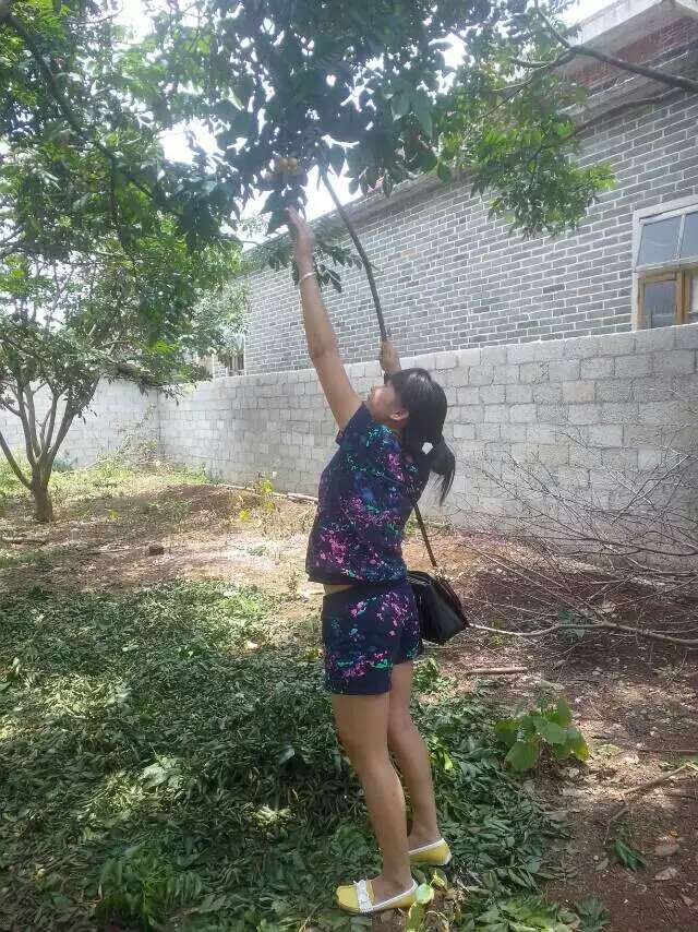 QQ图片20150716171210.jpg