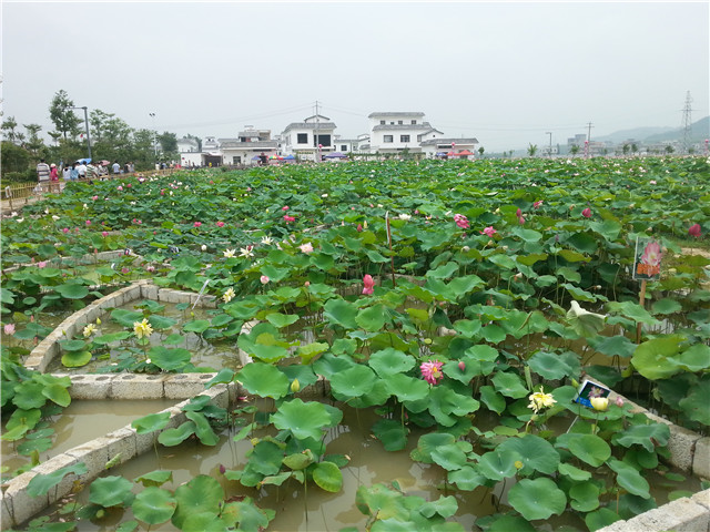 20150719_135906.jpg