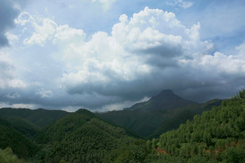 IMG_7913.jpg