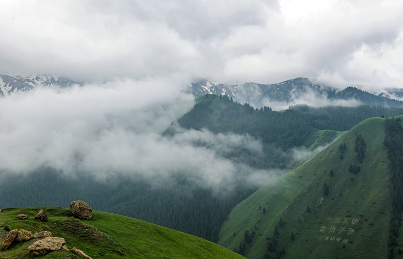 DSC_8330_423aaa-208.jpg