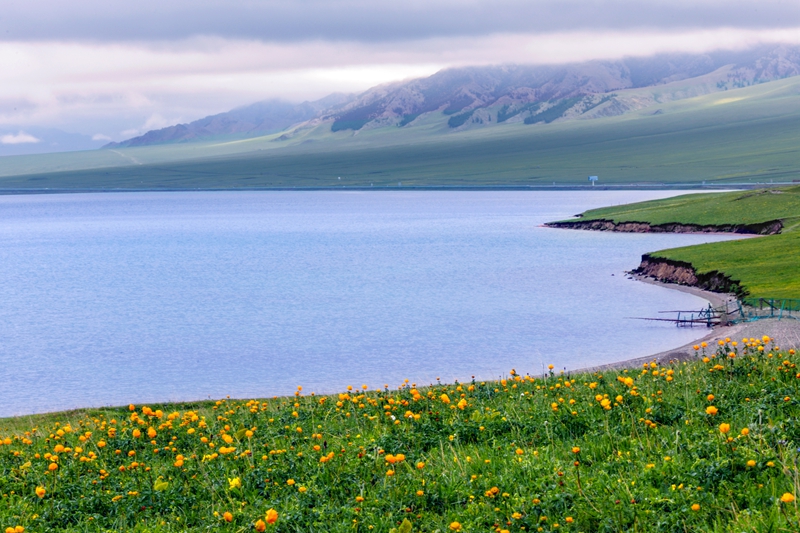 DSC_8447_471aaa-210.jpg