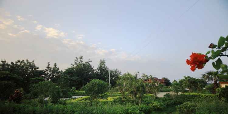 IMG_9459.JPG