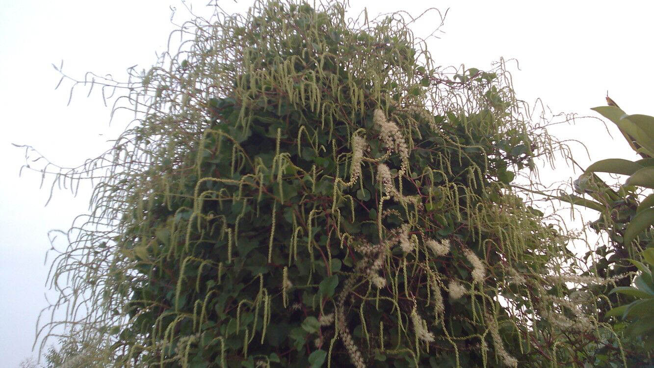QQ图片20060319063116.jpg