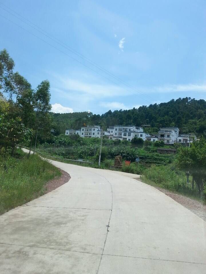 QQ图片20150819173608.jpg