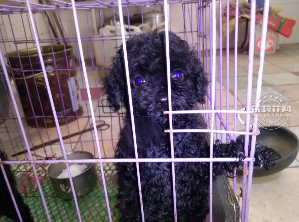 QQ图片20150825220437.jpg