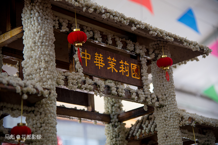 马彪04DSC_7317.jpg