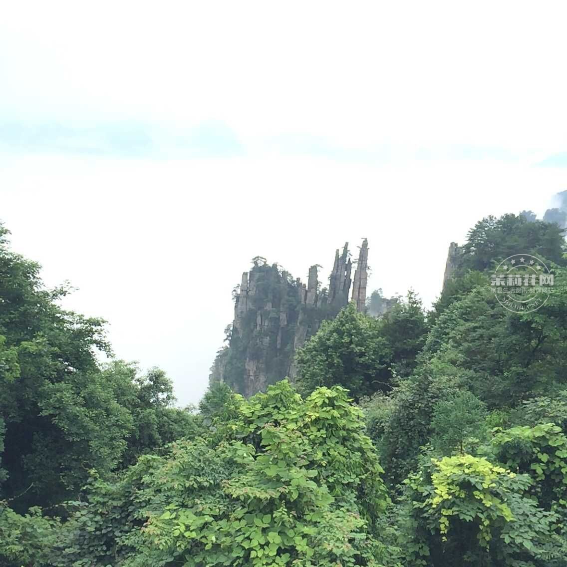 QQ图片20150617155206.jpg