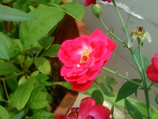 DSC_0878_副本.jpg