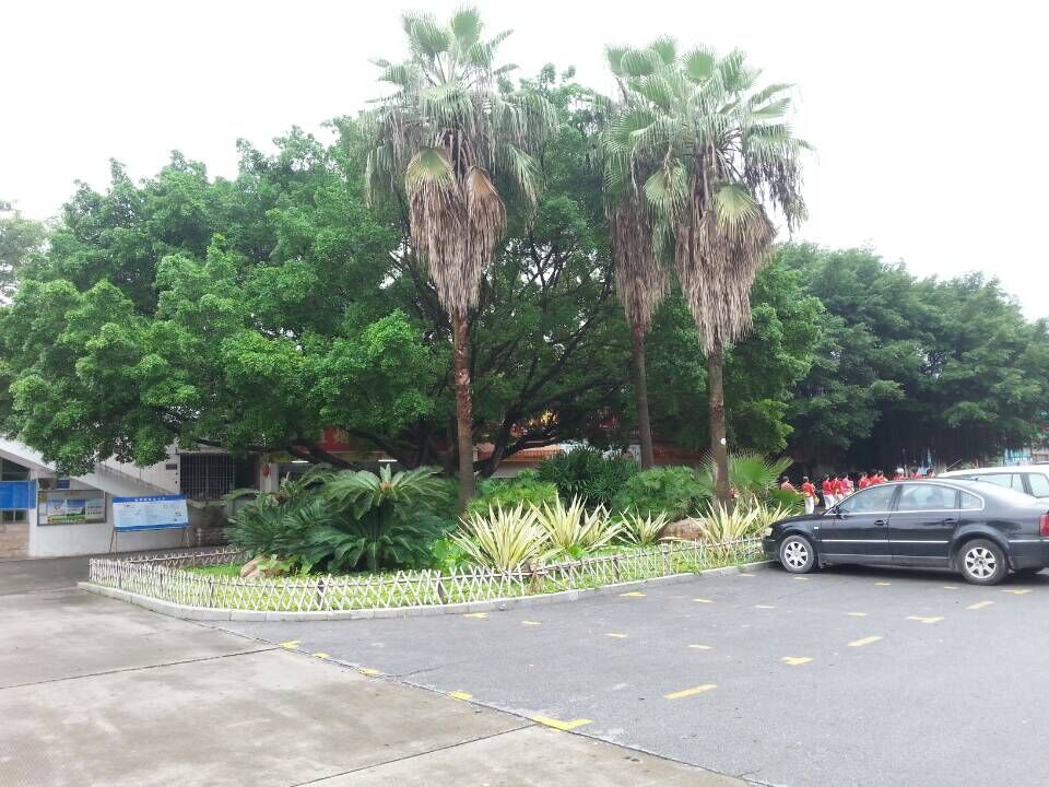 QQ图片20150901074021.jpg