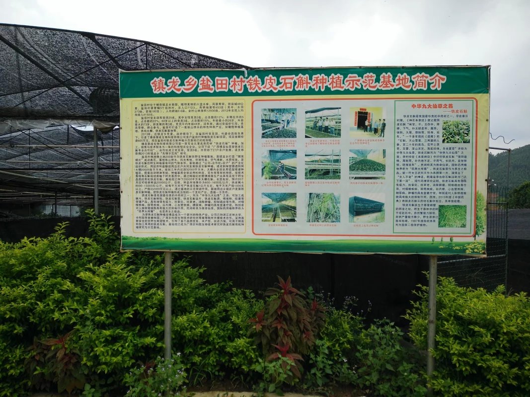 psb (24).jpg