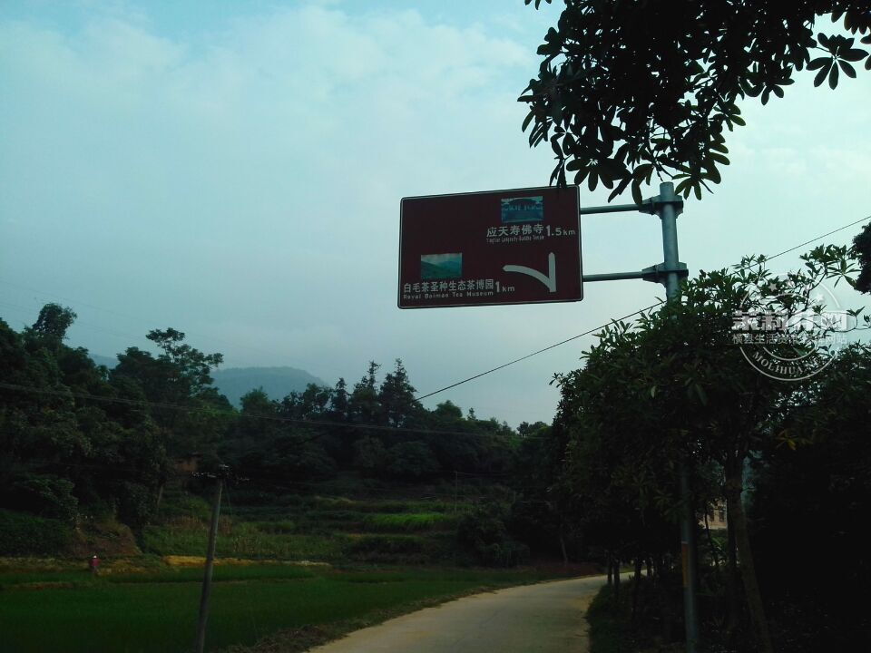 20150911215010.jpg