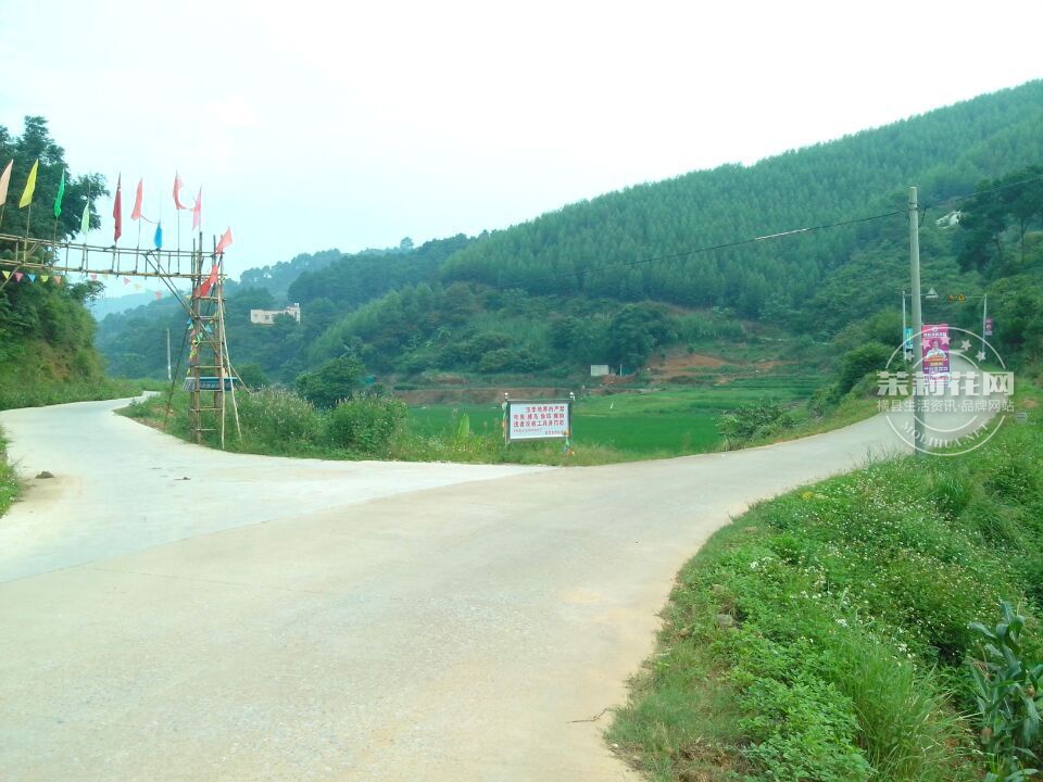 20150911215019.jpg