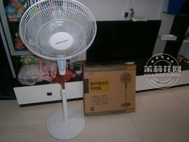 P1010118.JPG