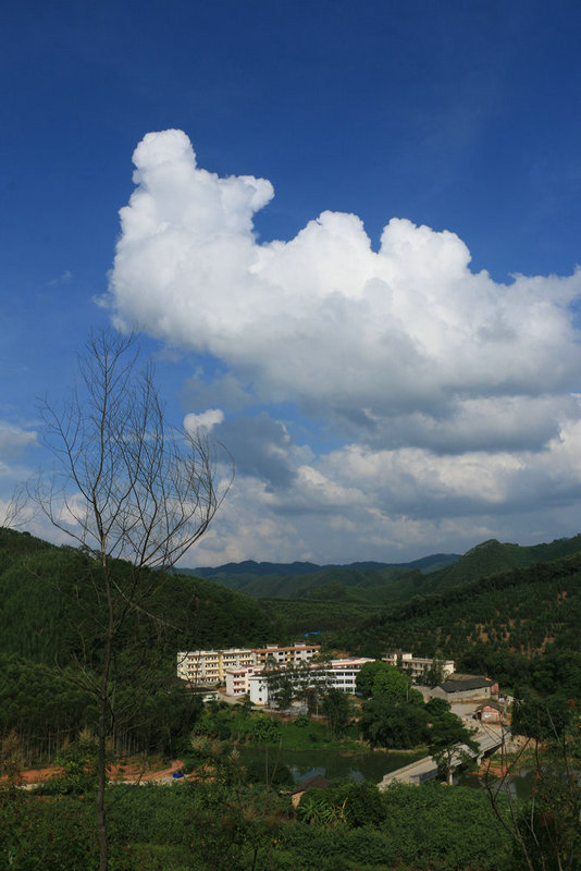 IMG_9612.jpg