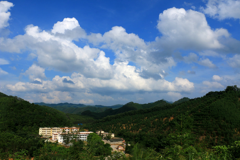 IMG_9620.jpg