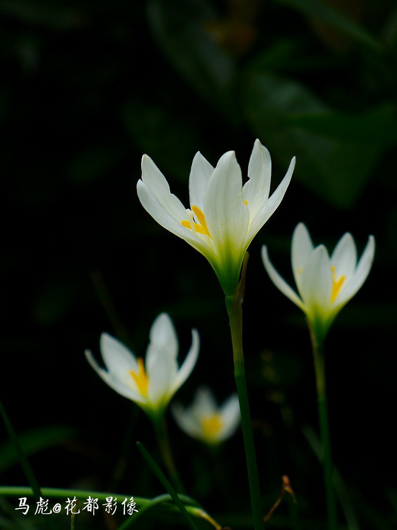 06P1360110a.jpg