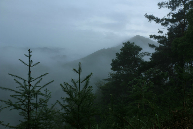 IMG_9715_副本.jpg