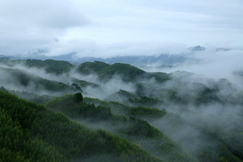IMG_9827_副本.jpg