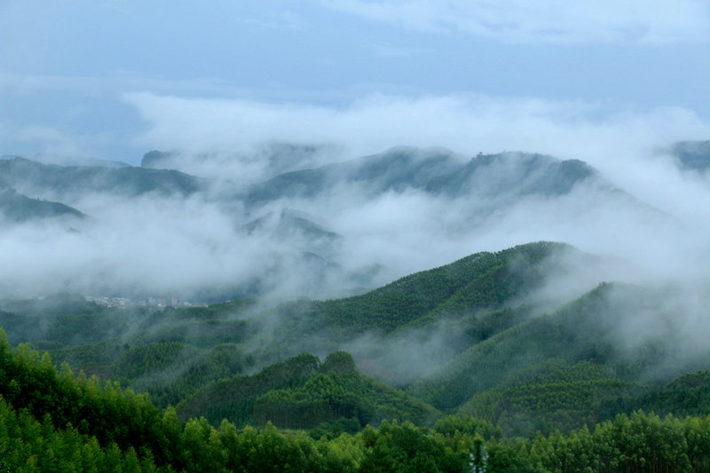 IMG_9850_副本.jpg