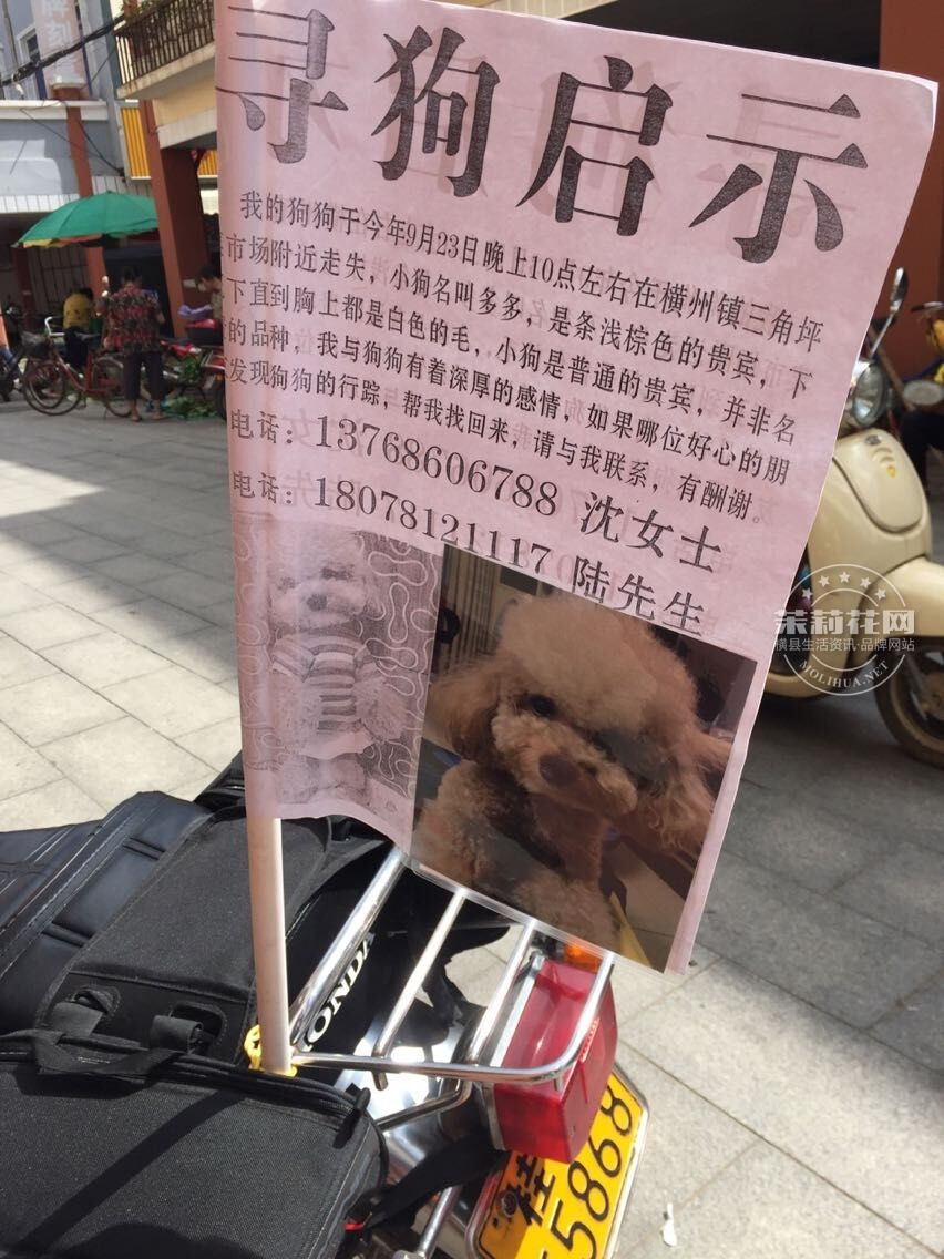 QQ图片20150927154530.jpg