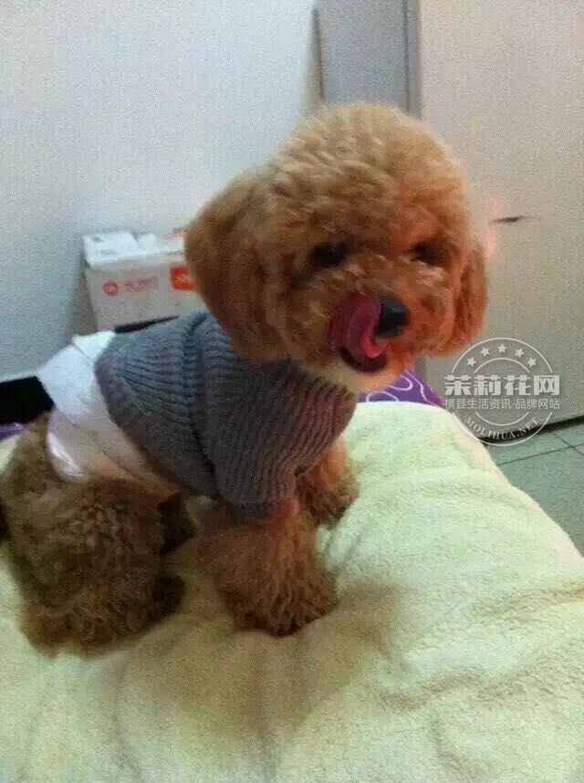 QQ图片20150927154543.jpg