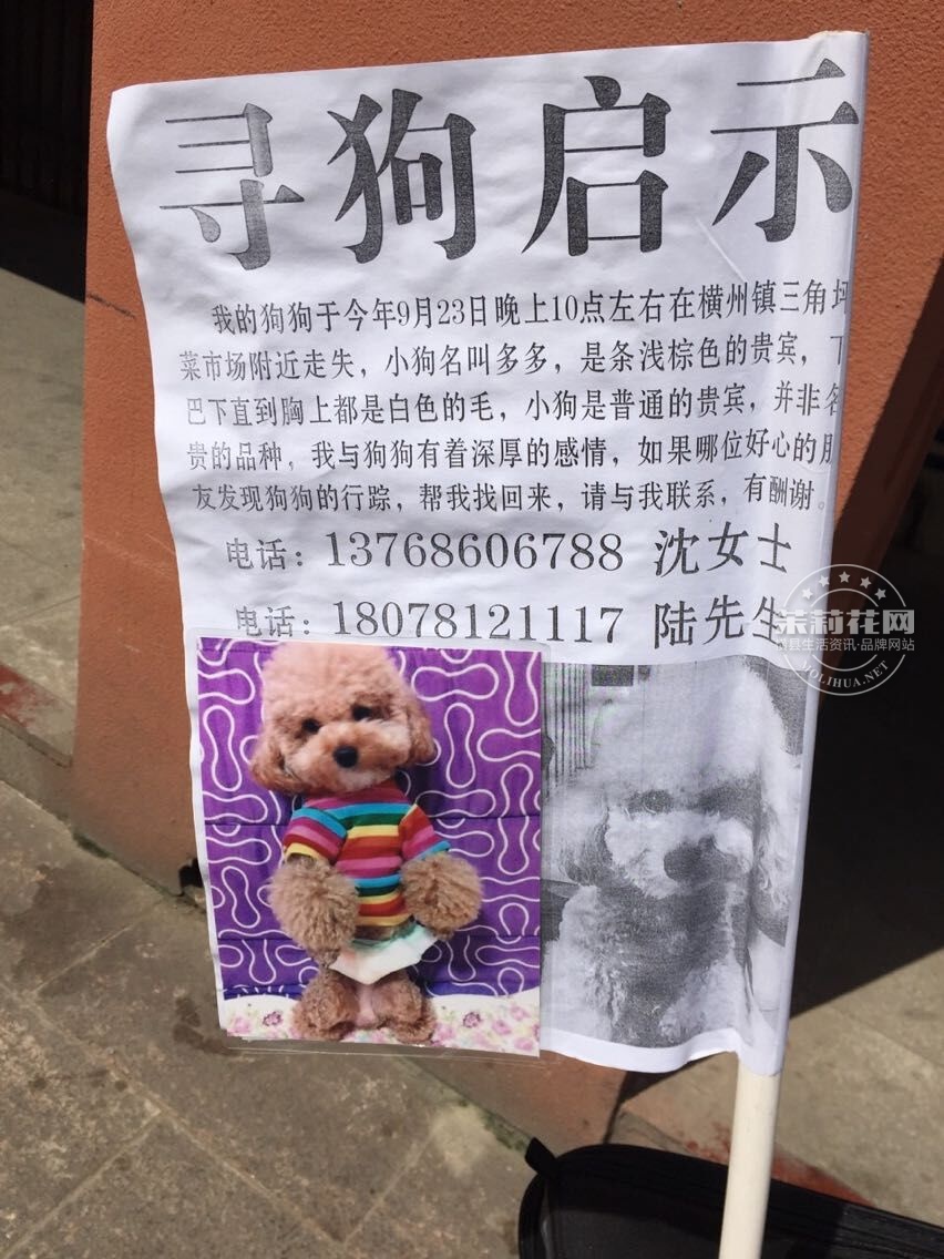 QQ图片20150927154535.jpg